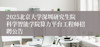 2025北京大学深圳研究生院科学智能学院算力平台工程师招聘公告