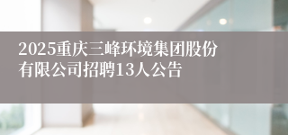 2025重庆三峰环境集团股份有限公司招聘13人公告