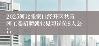2025河北张家口经开区共青团工委招聘就业见习岗位8人公告