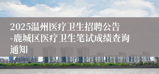 2025温州医疗卫生招聘公告-鹿城区医疗卫生笔试成绩查询通知