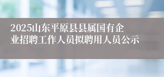 2025山东平原县县属国有企业招聘工作人员拟聘用人员公示