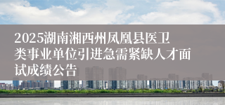 2025湖南湘西州凤凰县医卫类事业单位引进急需紧缺人才面试成绩公告