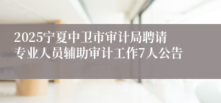 2025宁夏中卫市审计局聘请专业人员辅助审计工作7人公告