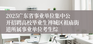 2025广东省事业单位集中公开招聘高校毕业生禅城区祖庙街道所属事业单位考生综