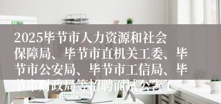 2025毕节市人力资源和社会保障局、毕节市直机关工委、毕节市公安局、毕节市工信局、毕节市财政局等招聘面试公告