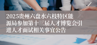 2025贵州六盘水六枝特区能源局参加第十三届人才博览会引进人才面试相关事宜公告