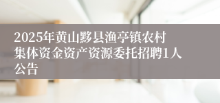 2025年黄山黟县渔亭镇农村集体资金资产资源委托招聘1人公告