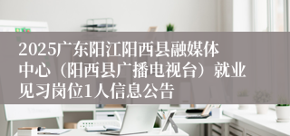 2025广东阳江阳西县融媒体中心（阳西县广播电视台）就业见习岗位1人信息公告