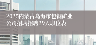 2025内蒙古乌海市包钢矿业公司招聘招聘29人职位表