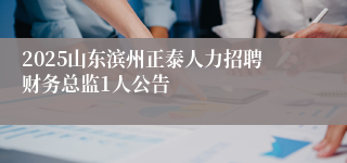 2025山东滨州正泰人力招聘财务总监1人公告
