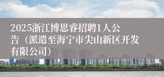 2025浙江博思睿招聘1人公告（派遣至海宁市尖山新区开发有限公司）