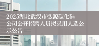 2025湖北武汉市弘源碳化硅公司公开招聘人员拟录用人选公示公告