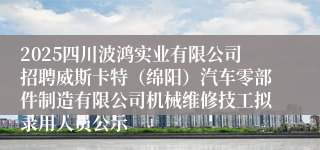 2025四川波鸿实业有限公司招聘威斯卡特（绵阳）汽车零部件制造有限公司机械维修技工拟录用人员公示