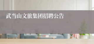 武当山文旅集团招聘公告