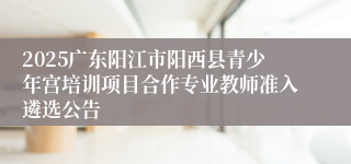 2025广东阳江市阳西县青少年宫培训项目合作专业教师准入遴选公告