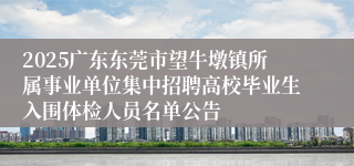 2025广东东莞市望牛墩镇所属事业单位集中招聘高校毕业生入围体检人员名单公告