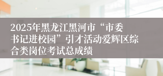 2025年黑龙江黑河市“市委书记进校园”引才活动爱辉区综合类岗位考试总成绩