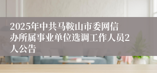 2025年中共马鞍山市委网信办所属事业单位选调工作人员2人公告