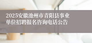2025安徽池州市青阳县事业单位招聘报名咨询电话公告