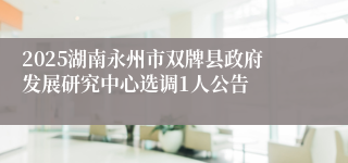 2025湖南永州市双牌县政府发展研究中心选调1人公告