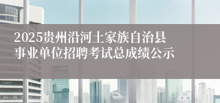 2025贵州沿河土家族自治县事业单位招聘考试总成绩公示