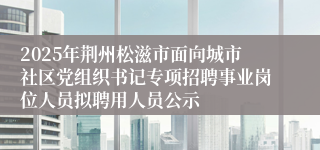 2025年荆州松滋市面向城市社区党组织书记专项招聘事业岗位人员拟聘用人员公示