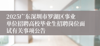 2025广东深圳市罗湖区事业单位招聘高校毕业生招聘岗位面试有关事项公告