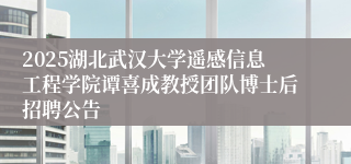 2025湖北武汉大学遥感信息工程学院谭喜成教授团队博士后招聘公告