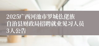 2025广西河池市罗城仫佬族自治县财政局招聘就业见习人员3人公告