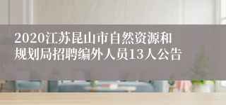 2020江苏昆山市自然资源和规划局招聘编外人员13人公告