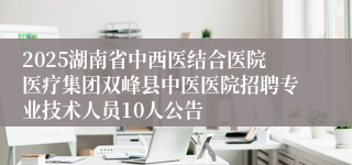 2025湖南省中西医结合医院医疗集团双峰县中医医院招聘专业技术人员10人公告