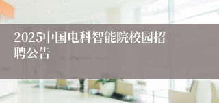 2025中国电科智能院校园招聘公告