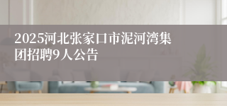 2025河北张家口市泥河湾集团招聘9人公告