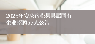 2025年安庆宿松县县属国有企业招聘57人公告