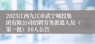 2025江西九江市武宁城投集团有限公司招聘劳务派遣人员（第一批）10人公告