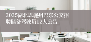 2025湖北恩施州巴东公交招聘储备驾驶员12人公告