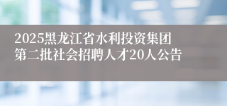 2025黑龙江省水利投资集团第二批社会招聘人才20人公告