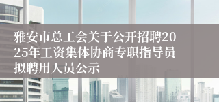 雅安市总工会关于公开招聘2025年工资集体协商专职指导员拟聘用人员公示