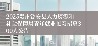 2025贵州瓮安县人力资源和社会保障局青年就业见习招募300人公告