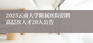 2025云南大学附属医院招聘高层次人才20人公告