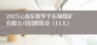 2025云南东源罗平东城煤矿有限公司招聘简章（11人）