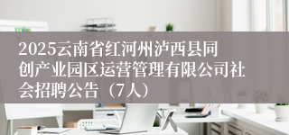 2025云南省红河州泸西县同创产业园区运营管理有限公司社会招聘公告（7人）