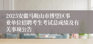 2025安徽马鞍山市博望区事业单位招聘考生考试总成绩及有关事项公告