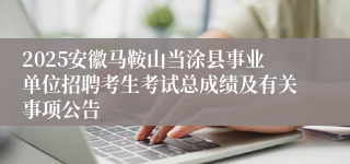 2025安徽马鞍山当涂县事业单位招聘考生考试总成绩及有关事项公告
