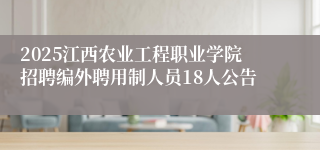 2025江西农业工程职业学院招聘编外聘用制人员18人公告