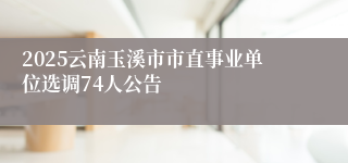 2025云南玉溪市市直事业单位选调74人公告