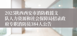 2025陕西西安市消防救援支队人力资源和社会保障局招录政府专职消防员384人公告
