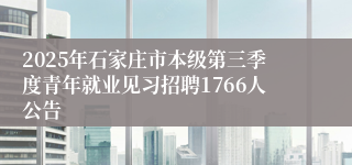 2025年石家庄市本级第三季度青年就业见习招聘1766人公告