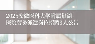 2025安徽医科大学附属巢湖医院劳务派遣岗位招聘3人公告