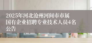 2025年河北沧州河间市市属国有企业招聘专业技术人员4名公告